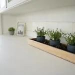 Urlaubsfreude Biedermann Haus Gluecksstein - Mondstein Daire *