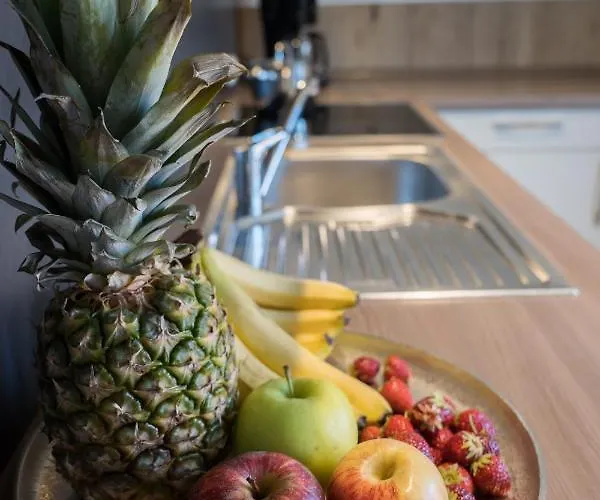 Urlaubsfreude Biedermann Haus Gluecksstein - Mondstein 아파트 *